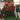 Contractor Meet, 30/12/2022