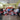 Carpenters Meet, 13-09-2025