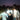 Carpenters Meet, 22-09-2025