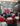 Carpenters and Contractors Meet, 17-06-2025
