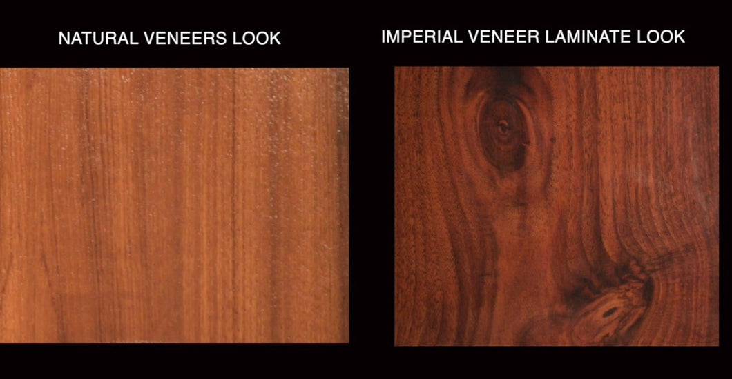 Laminate versus Veneers Amulya Mica