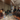 Influencer Meet, 15/07/2025