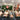 Carpenter Meet, 13/02/2026
