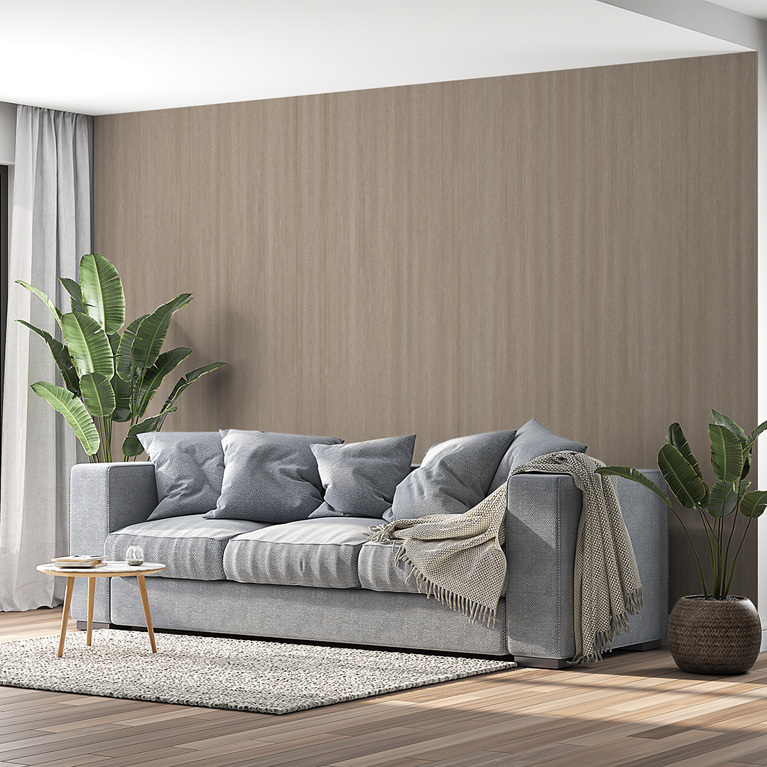 Economy Laminates Collection Amulya Mica