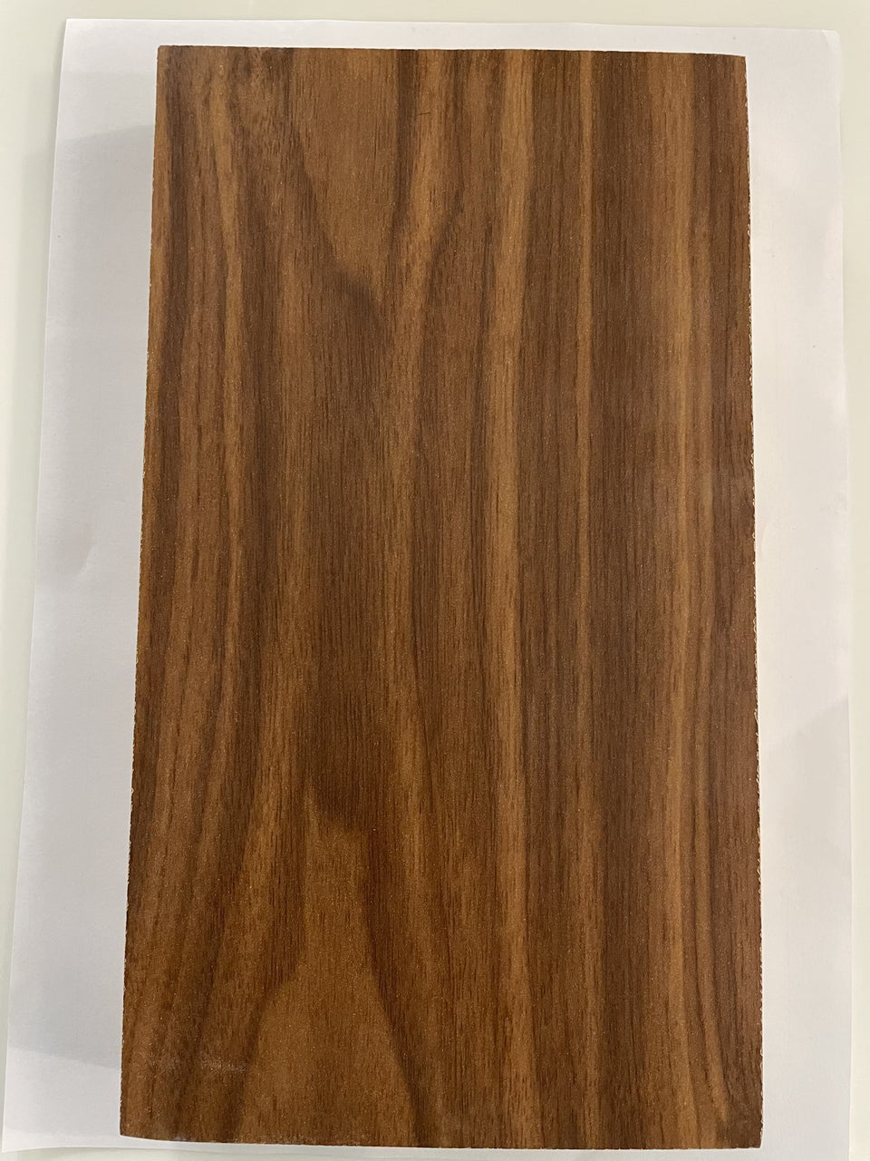 Laminated Flush Door Durable & Stylish Doors Amulya Mica Amulya Mica